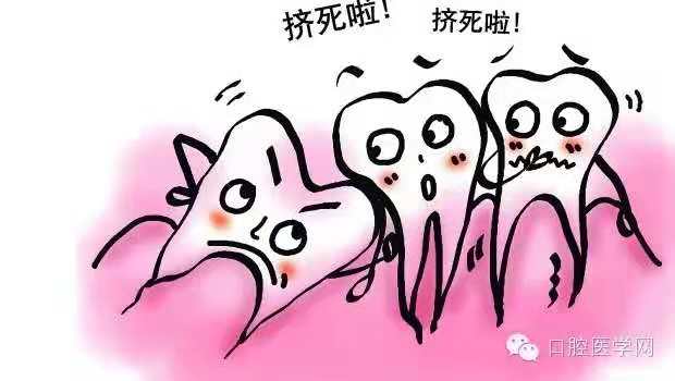 图片来源自网络,如果侵权可联系撤回