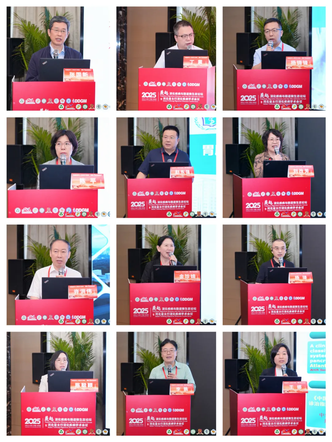 （内镜分会场）