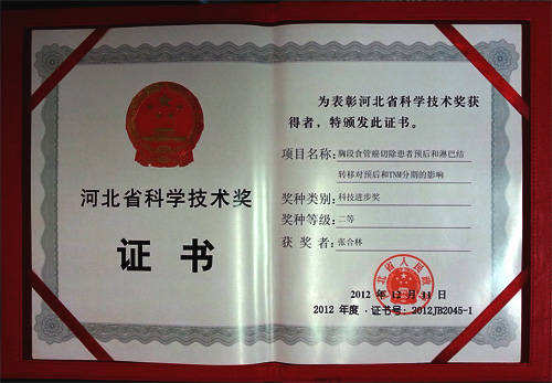 省科科技进步奖