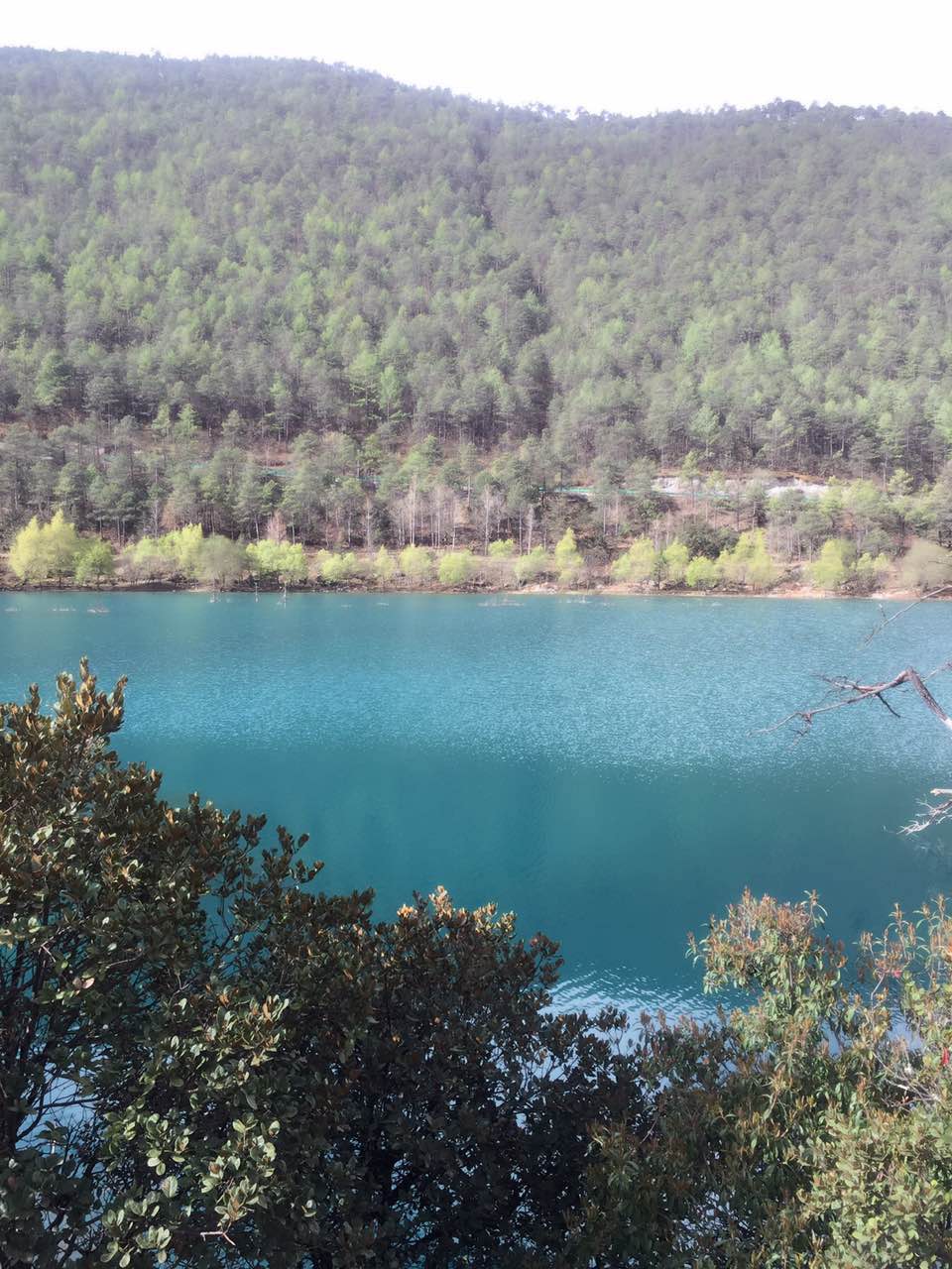 碧影映湖间，悠然云水天。