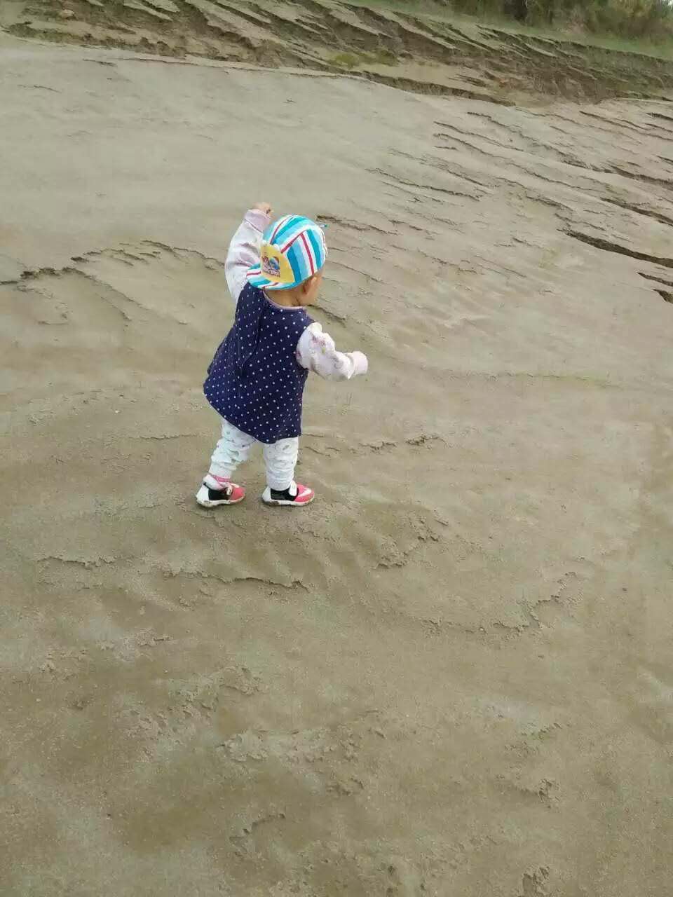 黄河——母亲河，古老的河道，新生的力量。