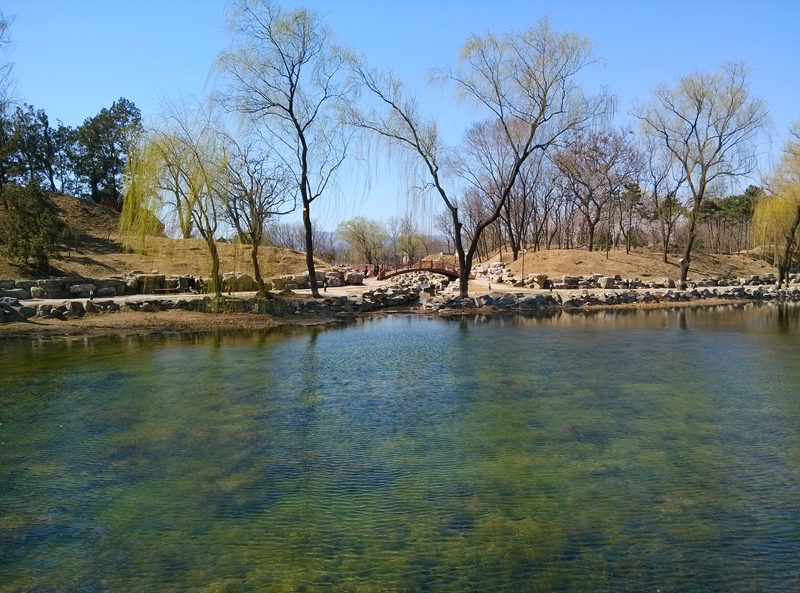 圆明园一景