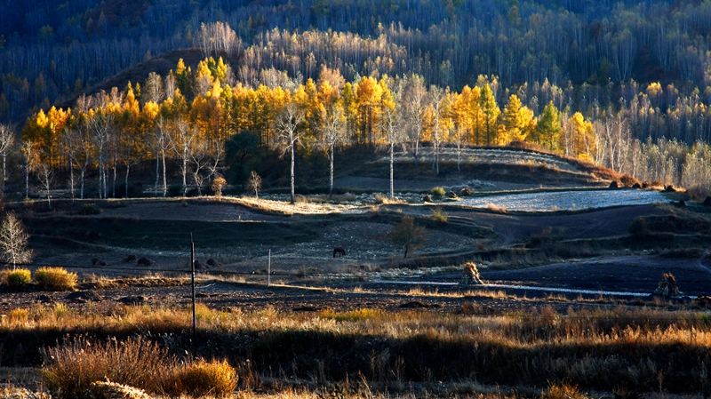 坝上金秋1.赤峰