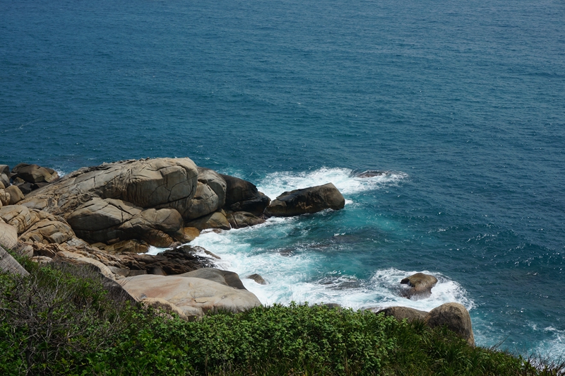 石海龟