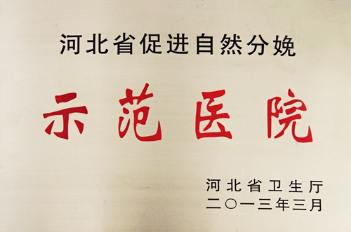 河北省促进自然分娩示范医院