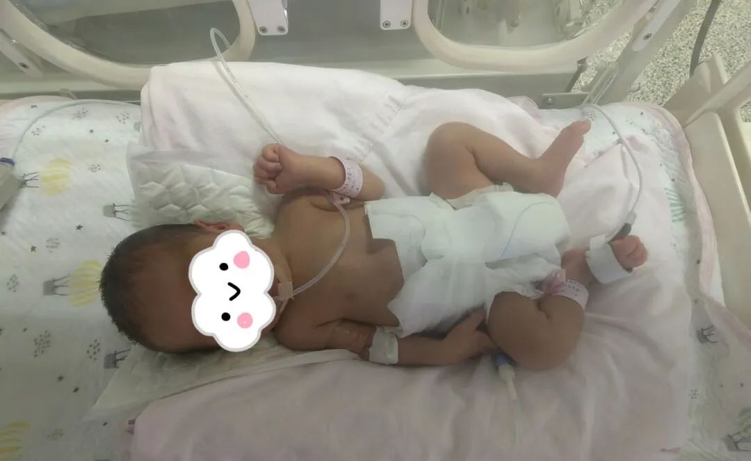 宣告的重点用能行业绿色电力破费比例！重庆能源局宣告紧张文件！