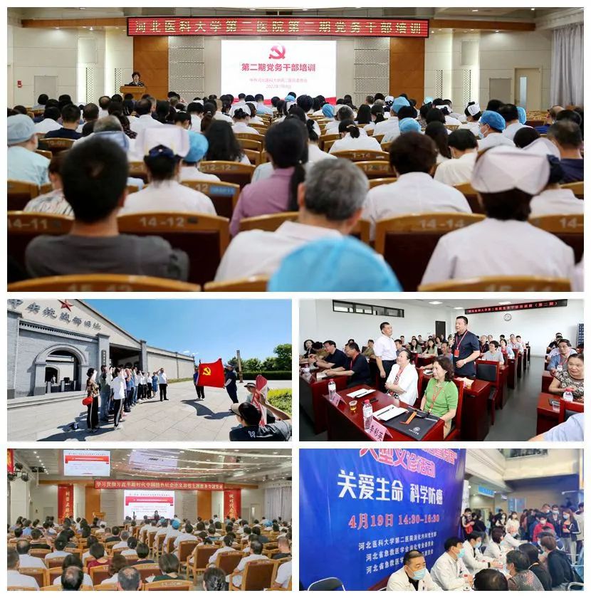 红木飞翔妄想第三站：福建仙游