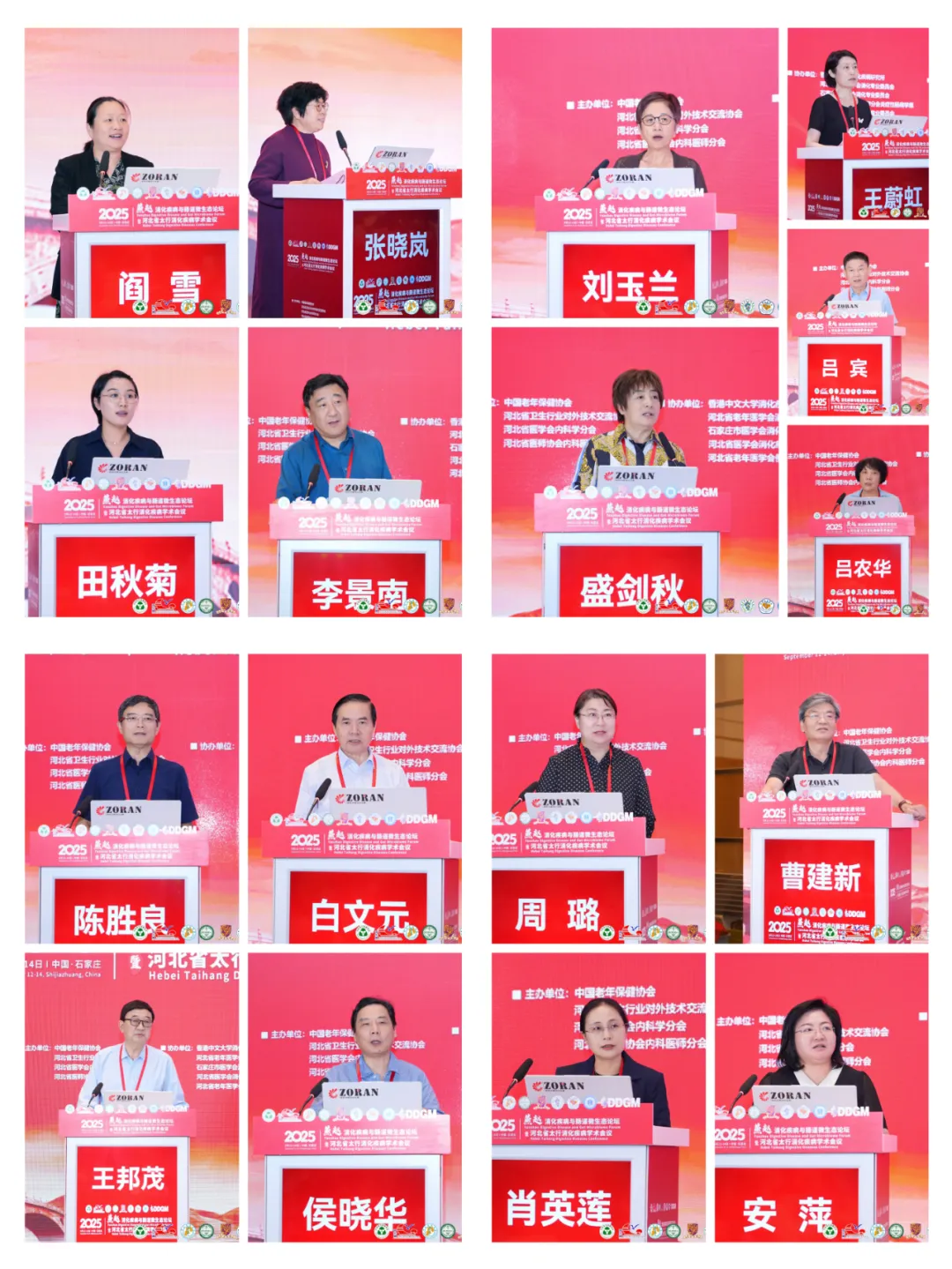 (河北省老年医学会消化病学分会及便秘专委会年会)